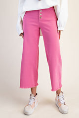 Button Front Stretch Twill Pants