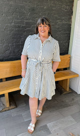 Curvy Short Sleeve Blue Striped Dress
