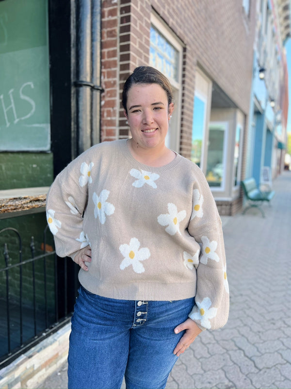 Curvy Beige Daisy Sweater