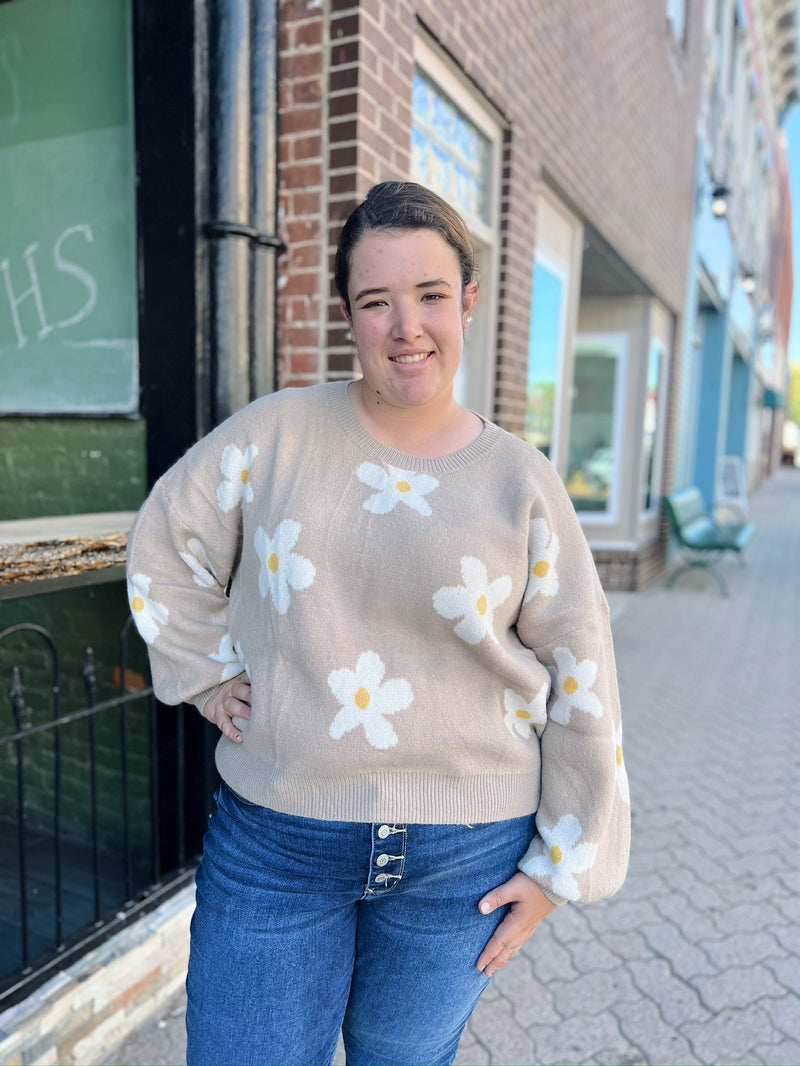 Curvy Beige Daisy Sweater
