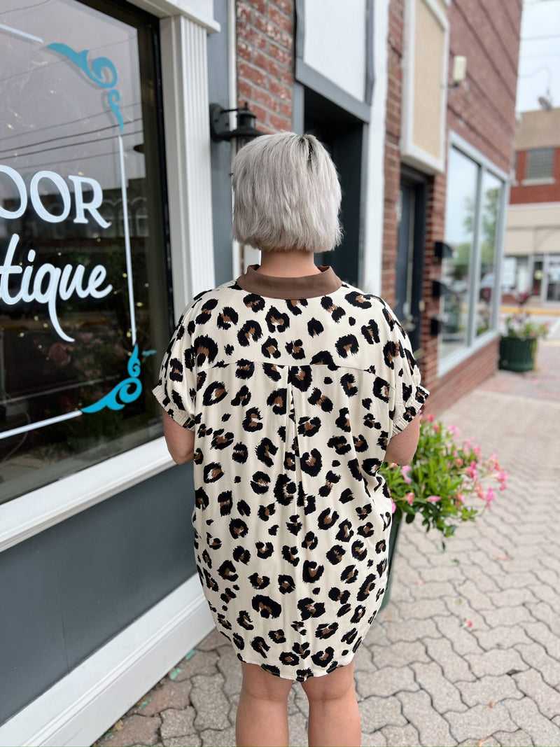 Leopard Contrast Collar Mini Dress