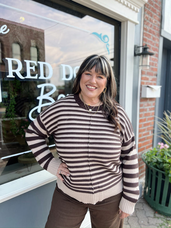 Brown Contrast Striped Sweater With Front Seam