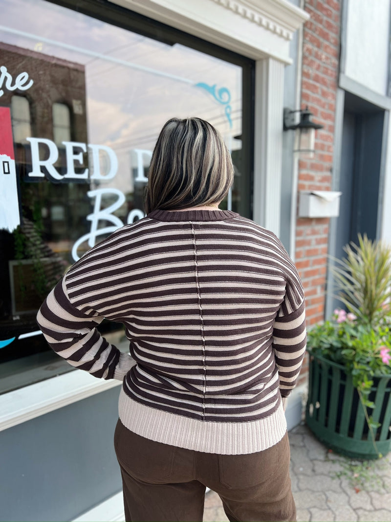 Brown Contrast Striped Sweater With Front Seam