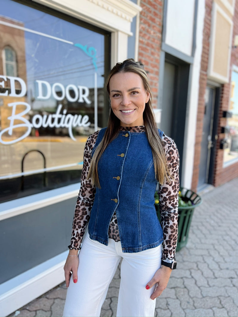 Leopard Printed Mesh Long Sleeve Top