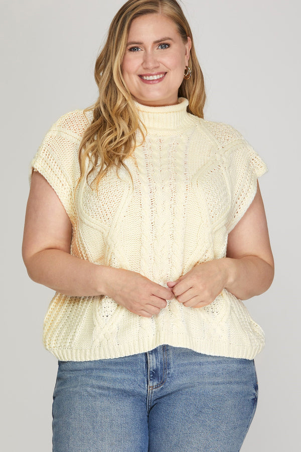 Curvy Heavy Knit Sweater Vest