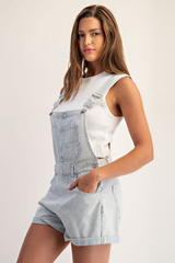 Denim striped Overalls