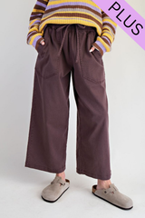 Curvy Brown Elastic Waist Twill Pants
