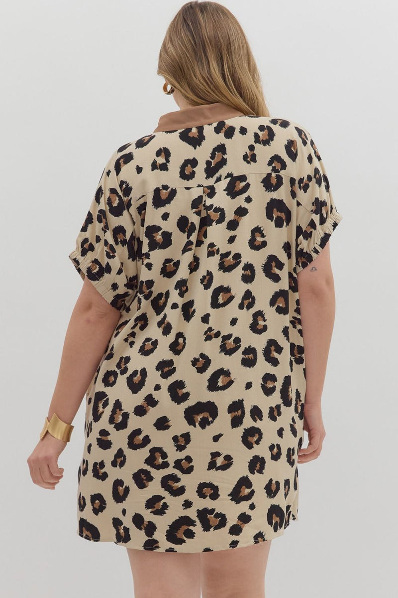 Leopard Contrast Collar Mini Dress