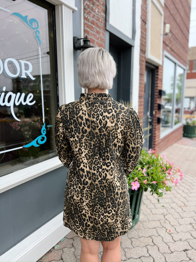 Leopard Long Sleeve Dress With Side Stripes