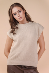 Oversized Soft Knit Short Sleeve Sweater